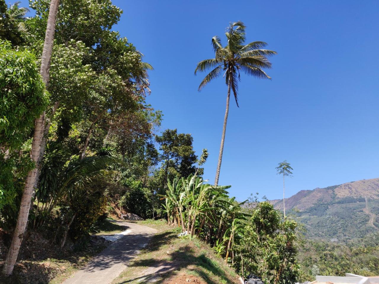 M3 Homes Munnar Exterior foto